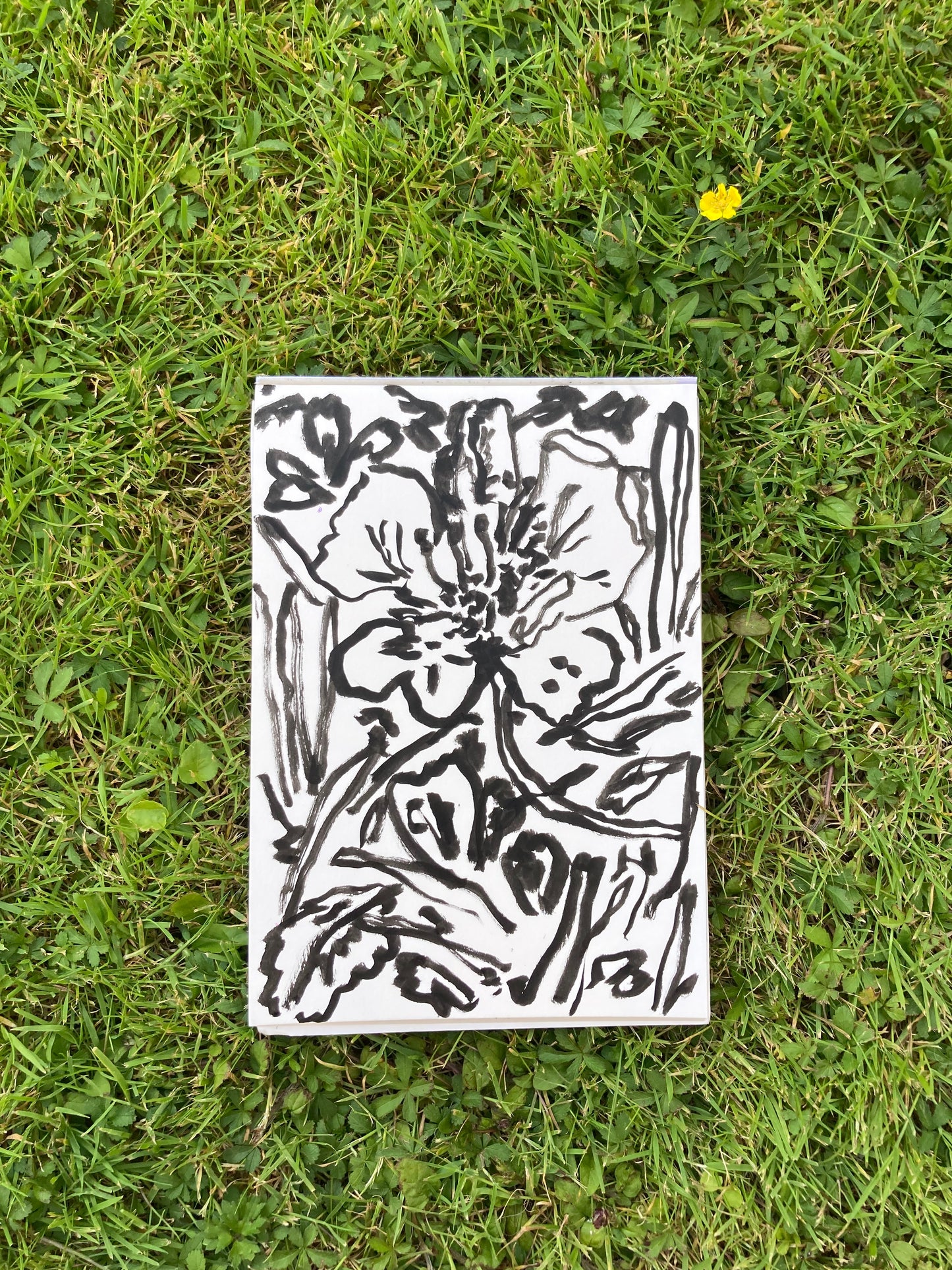 Shared Garden 3 (21 x 15 cm)