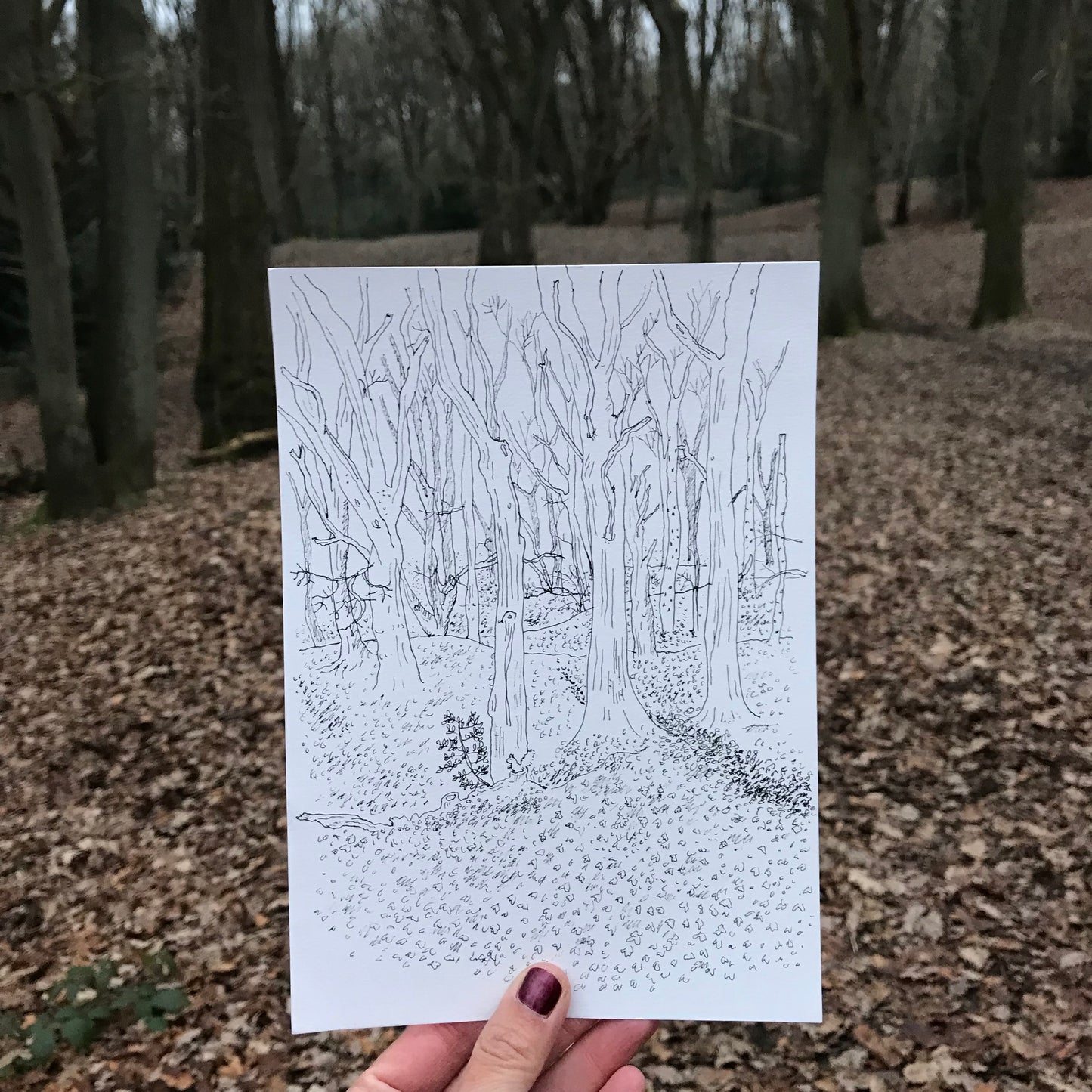 Heath Squirrel (21 x 15 cm)