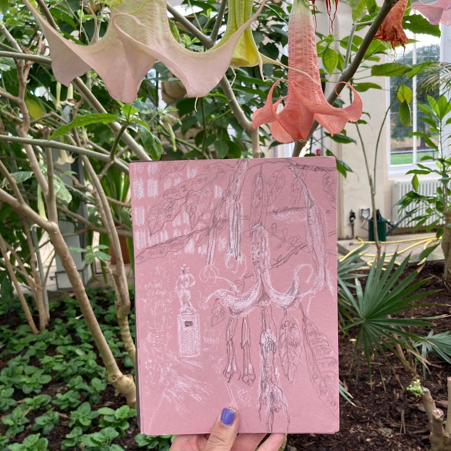 Kew Gardens in Pink 3 (21 x 15 cm)