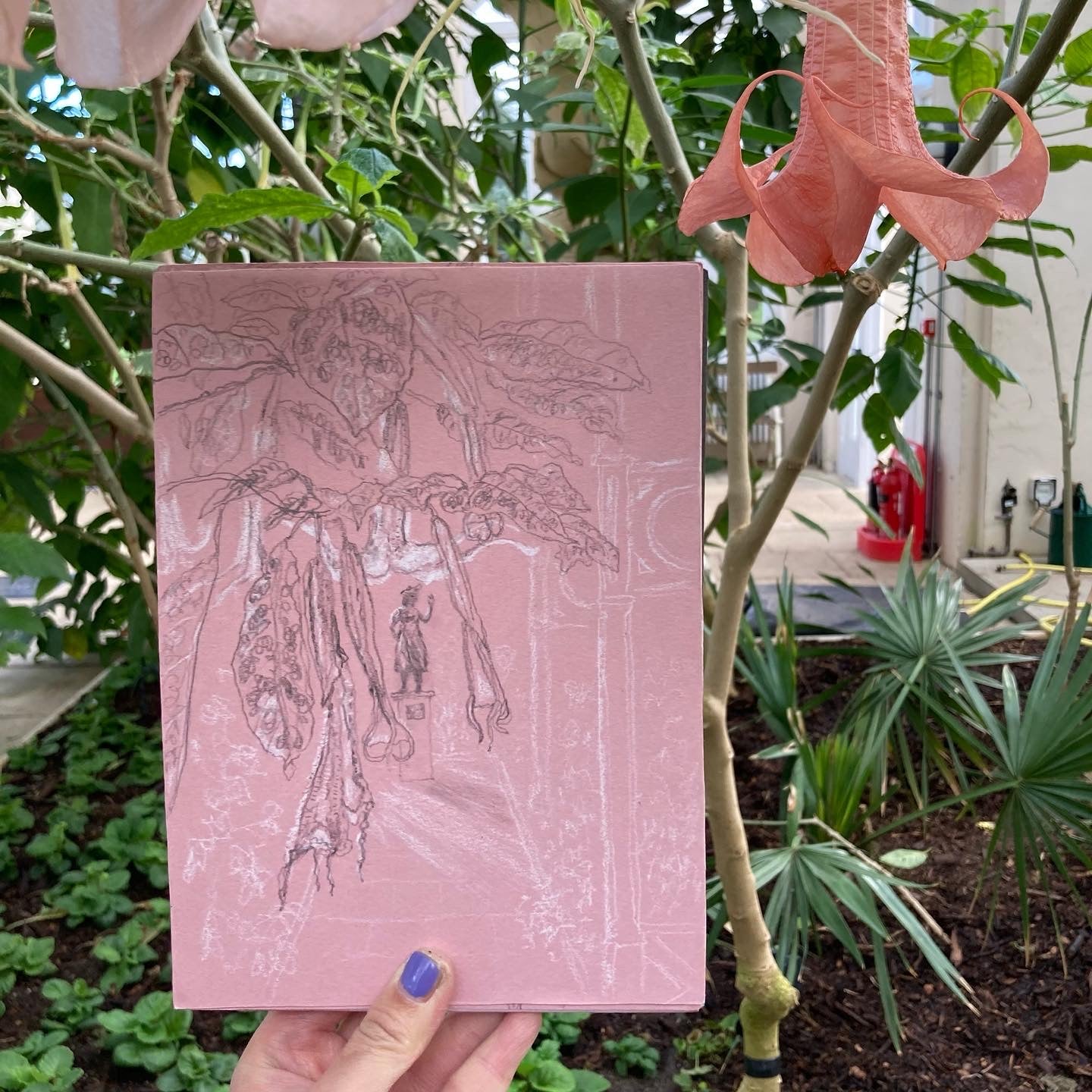 Kew Gardens in Pink 1 (21 x 15 cm)