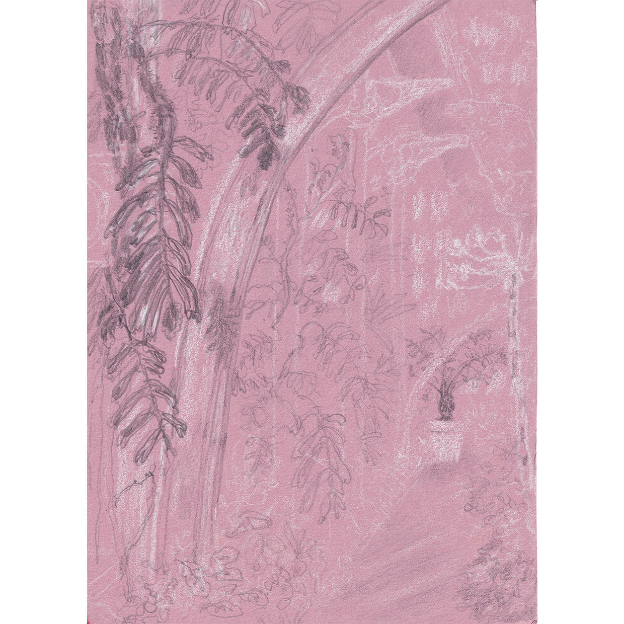 Kew Gardens in Pink 2 (21 x 15 cm)