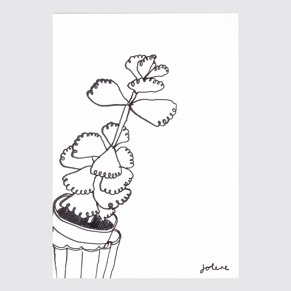 Plant 1 (15 x 11 cm)