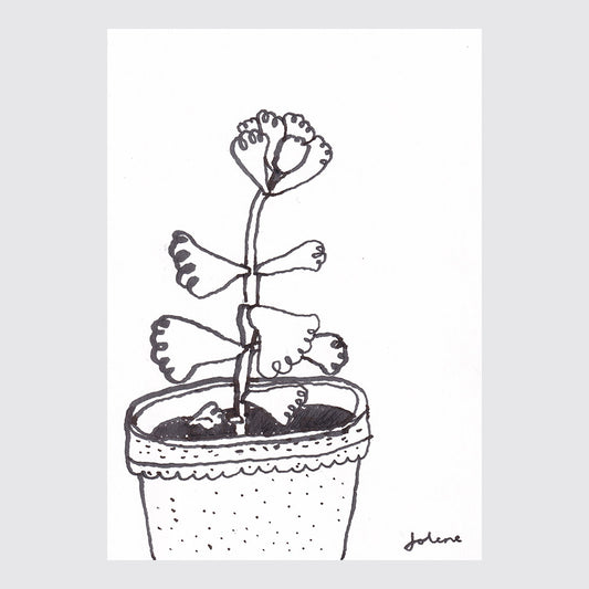 Plant 2 (15 x 11 cm)